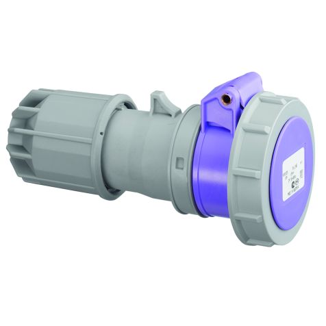 Fiche CEE femelle, IP67, 16 A, 2 pôles, 24 V, violet