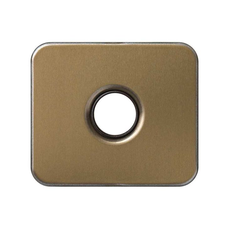 S82 Plaque Haut Parleur/Clé Bronze